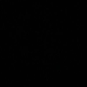 Meet your Posher, Kira